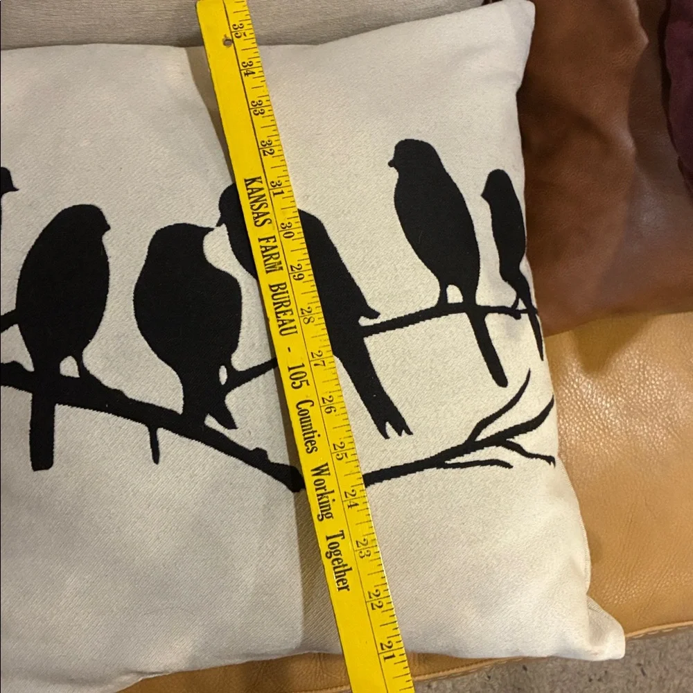 Bird Throw Pillows Black Birds on Cream Pillows No Wear No Marks Set/2 Pillows